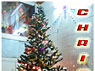 CHRISTMAS TREE OF JEEVAN DHAM 